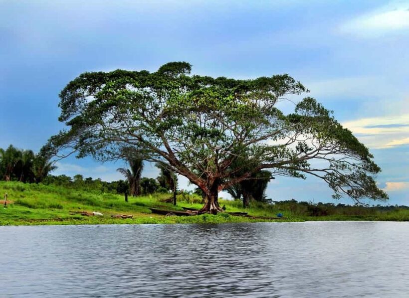 laguna-cashibococha-min