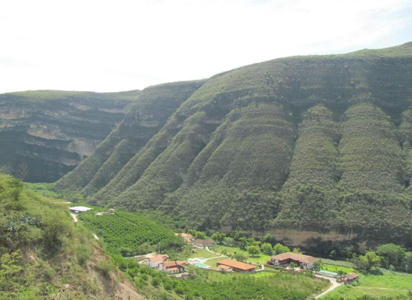 reserva-nacional-huiquilla-min