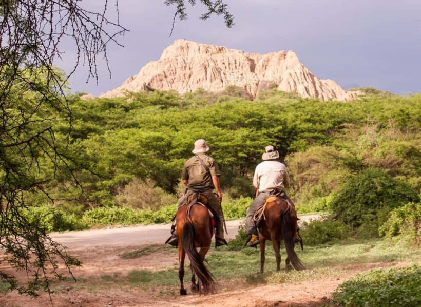 BOSQUE DE PÓMAC-min