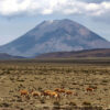 PAMPA CAÑAHUAS AREQUIPA