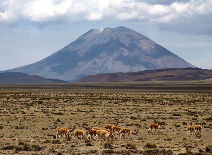 PAMPA CAÑAHUAS AREQUIPA